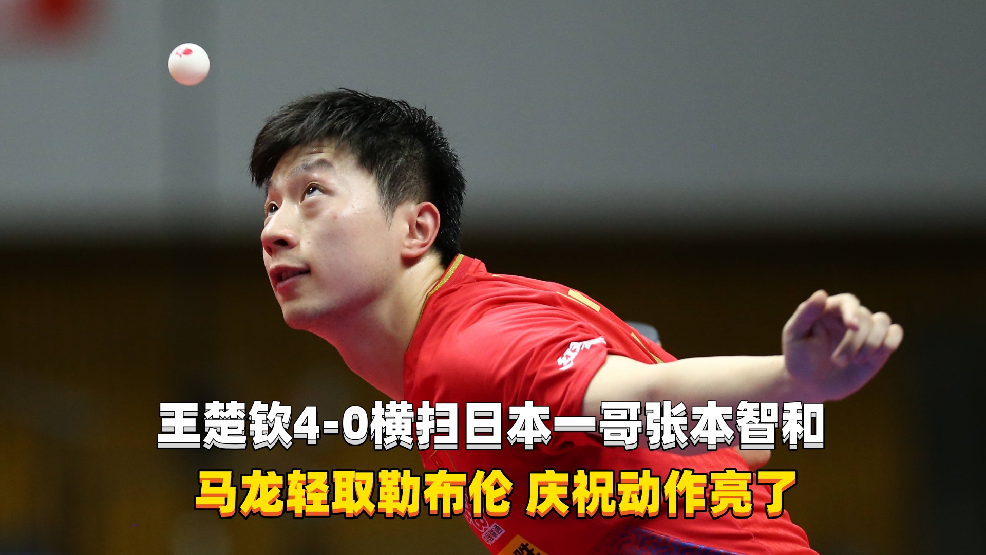 开云下载-波兰队横扫日本队，马龙统治全场