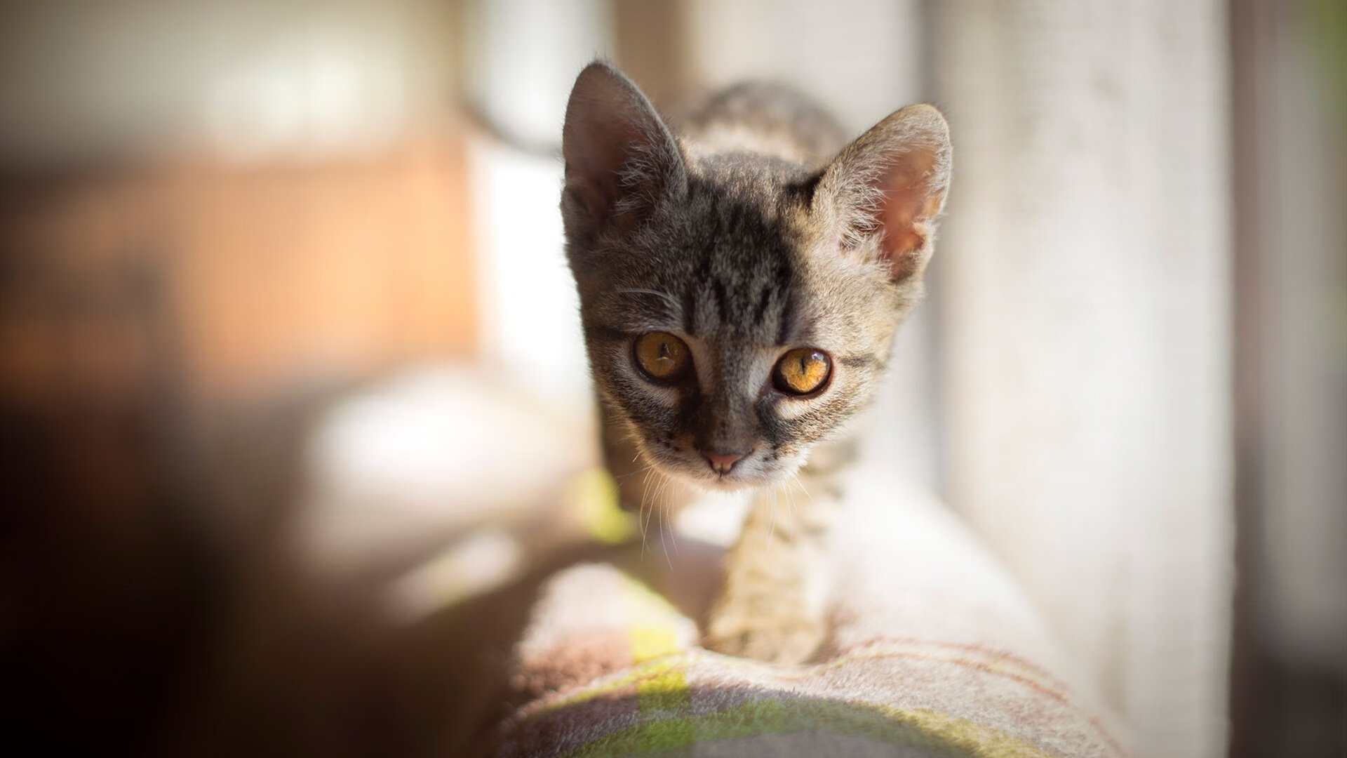 红白交错的惊蛰之夜，当利物浦精神撞碎三狮军团的铁律