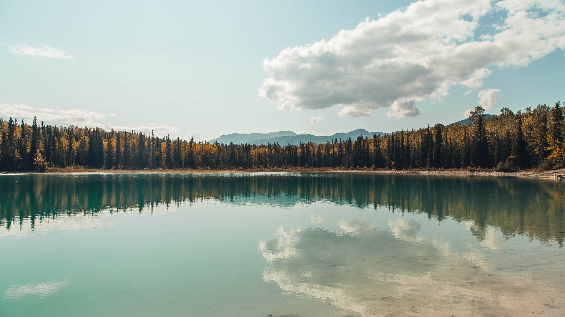 唯一的球台，绝杀英格兰、刷新纪录的张本智和与乒乓新纪元