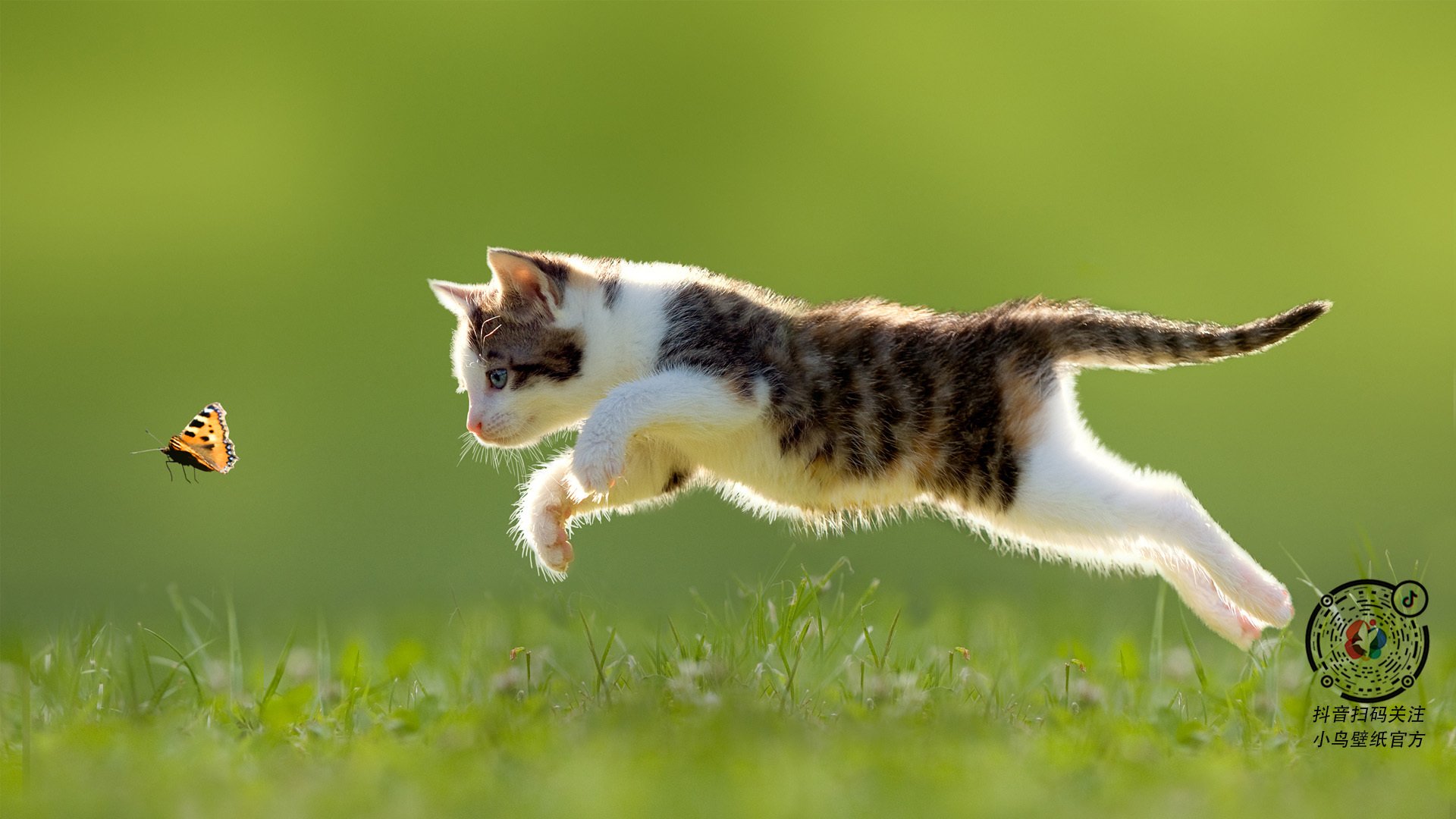 草原猎手与三晋雄鹰，马克西如何用一己之火点燃征服之夜？