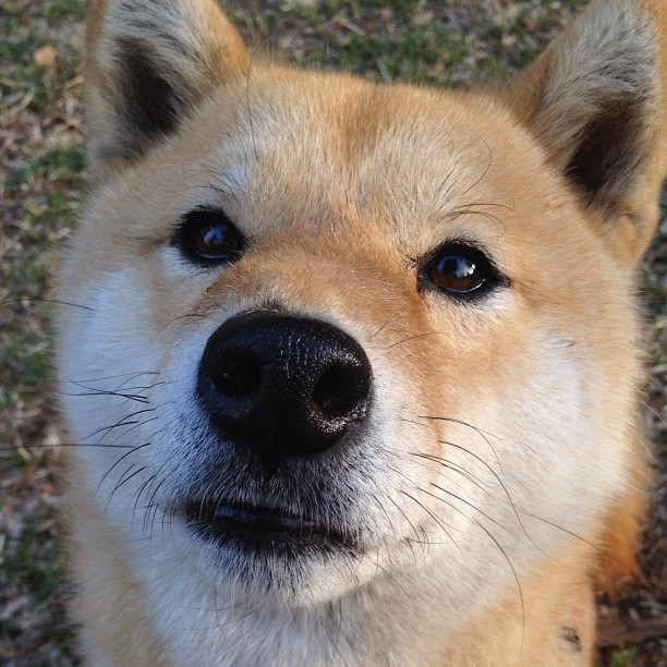 星辰逆转,哈登之夜,竞技之魂无疆界