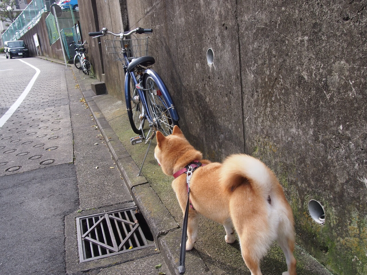 嘘声变奏曲，特雷·杨41分弑杀纽约，老鹰抢七风暴席卷麦迪逊