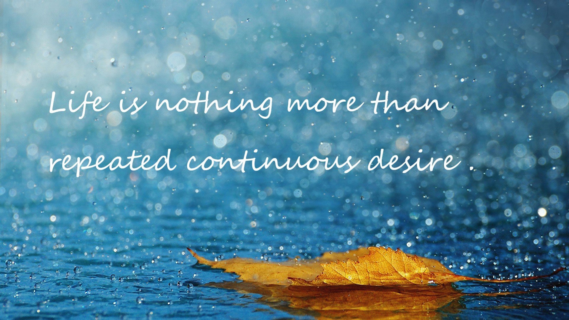 意甲焦点战与灰熊单节风暴,体育世界的双重奏