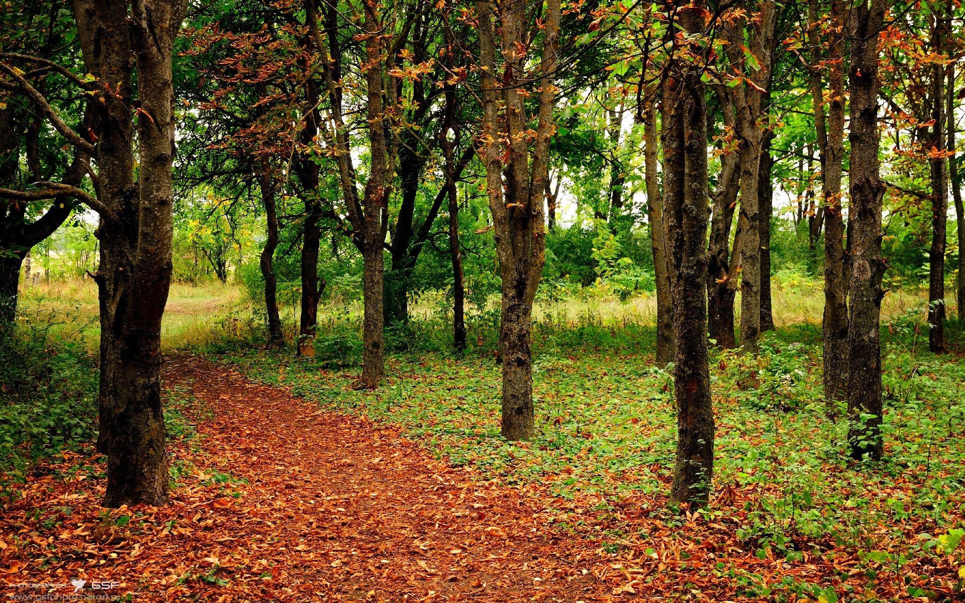 改写历史!尤文完胜克罗地亚,迪巴拉成为打破宿命的关键先生