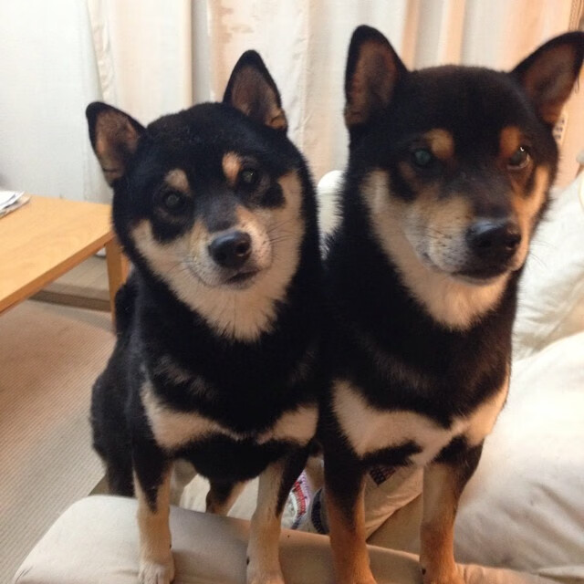 暗夜狂飙,当赛道红线遇见休斯顿的红色狂想