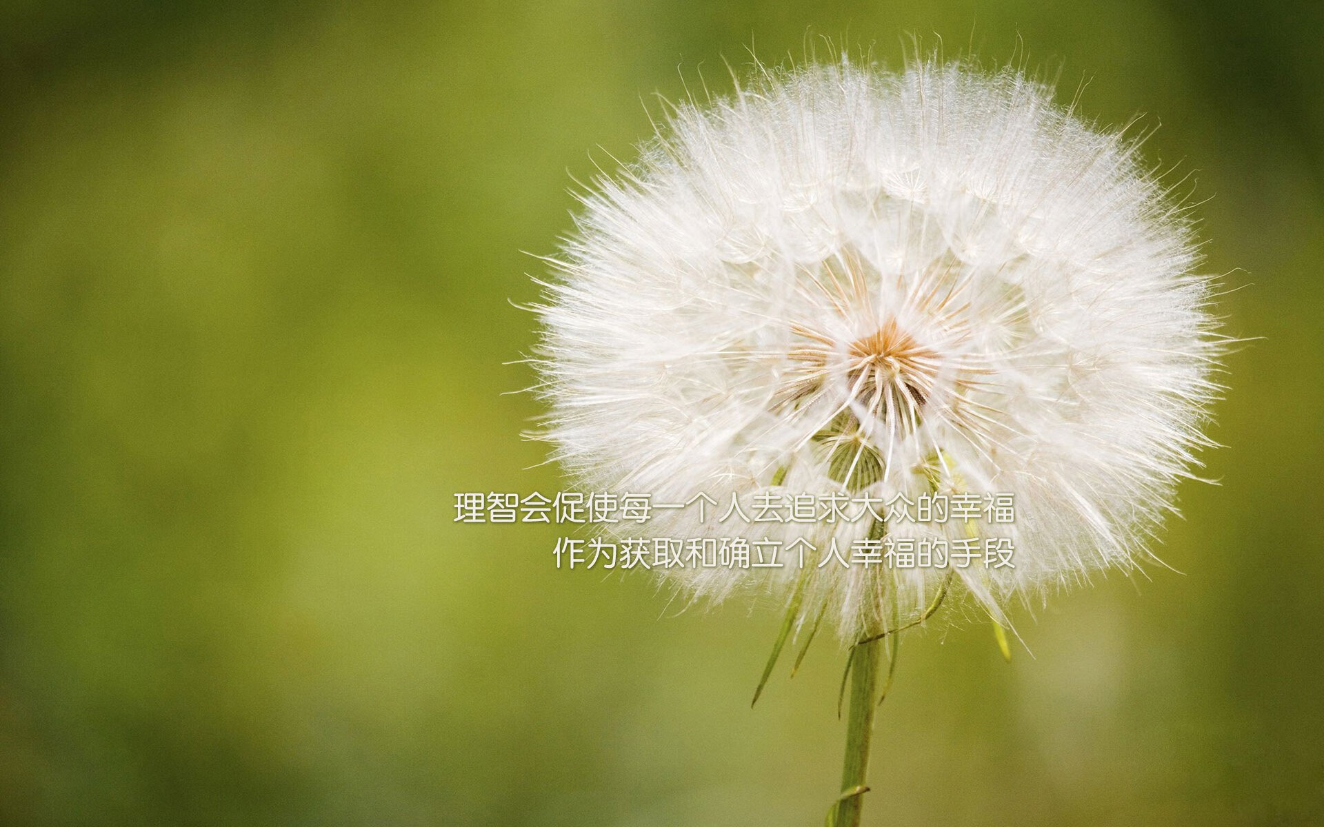 李刚仁爆发引领丹麦最后时刻绝杀挪威