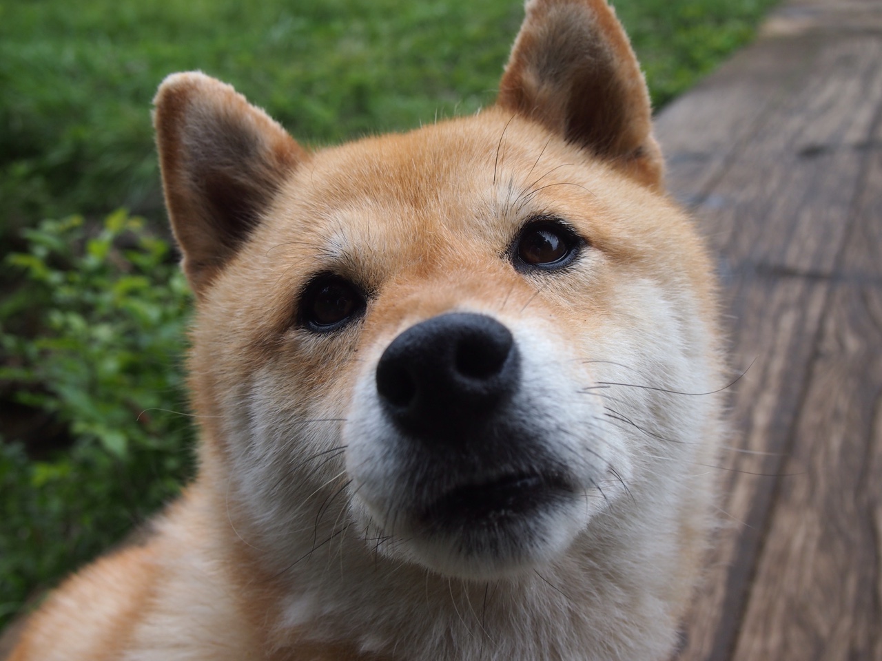 引擎轰鸣与绿茵暗涌，当F1缠斗哲学遇上国际米兰的战术压制