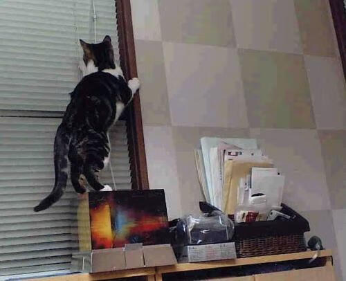 跨越领域的传奇，英格兰硬仗征服尼日利亚，阿拉巴东决主宰书写唯一性胜利