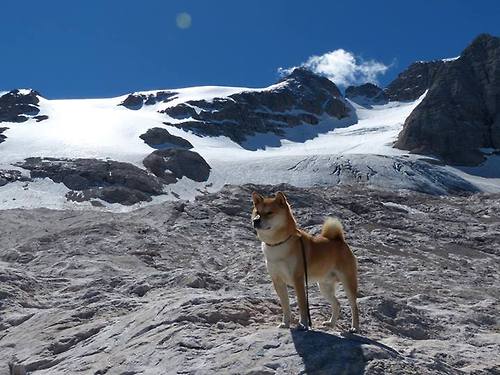 奥运前奏的绿茵烽火，苏格兰一记任意球，击碎哥斯达黎加的美洲密码